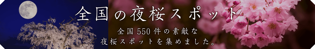 全国の夜桜スポット
